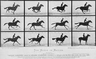 Muybridge's The Horse in Motion.
